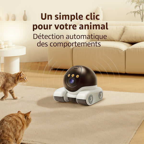 Zeny  –  Robot Caméra Professionnel pour la maison