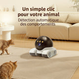 Zeny  –  Robot Caméra Professionnel pour la maison